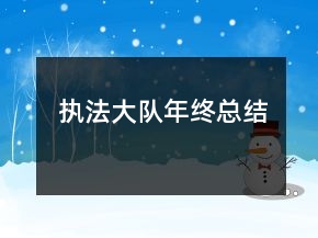執(zhí)法大隊(duì)年終總結(jié)