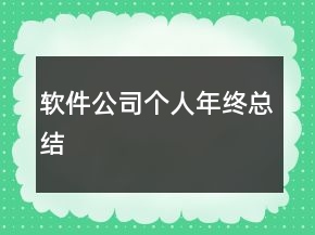 軟件公司個人年終總結(jié)