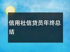 信用社信貸員年終總結(jié)