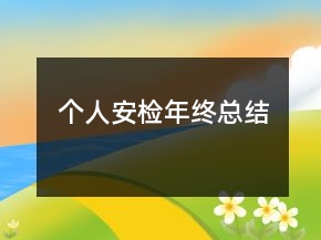 個(gè)人安檢年終總結(jié)