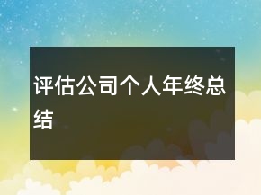 評估公司個人年終總結(jié)