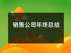 銷(xiāo)售公司年終總結(jié)