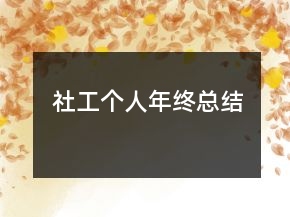 社工個人年終總結