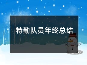 特勤隊(duì)員年終總結(jié)