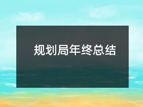 規(guī)劃局年終總結(jié)