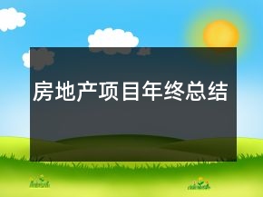 房地產(chǎn)項目年終總結(jié)