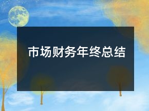 市場財務年終總結