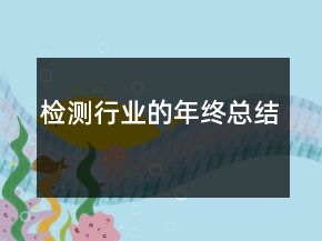 檢測行業(yè)的年終總結(jié)