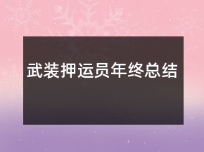 武裝押運(yùn)員年終總結(jié)