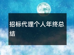 招標(biāo)代理個(gè)人年終總結(jié)
