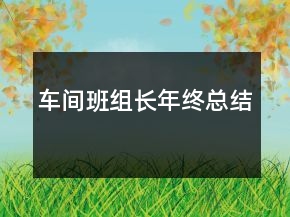 車間班組長年終總結(jié)