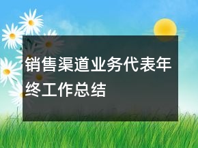銷售渠道業(yè)務(wù)代表年終工作總結(jié)