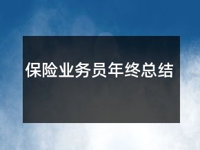 保險(xiǎn)業(yè)務(wù)員年終總結(jié)