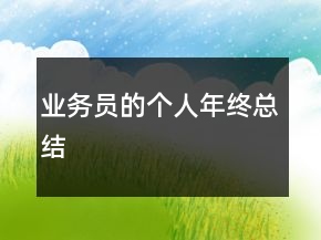 業(yè)務(wù)員的個(gè)人年終總結(jié)