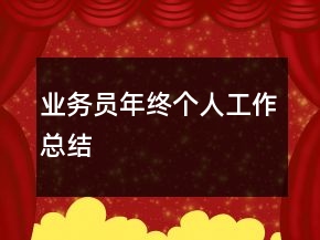 業(yè)務(wù)員年終個人工作總結(jié)