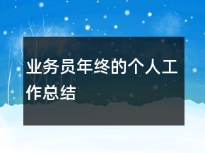 業(yè)務員年終的個人工作總結