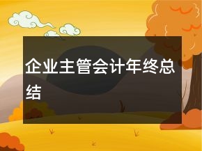 企業(yè)主管會計年終總結