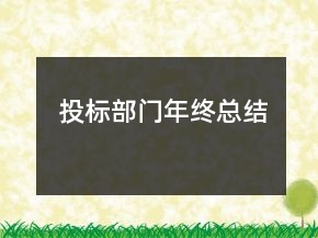 投標(biāo)部門年終總結(jié)