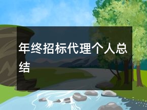 年終招標代理個人總結(jié)