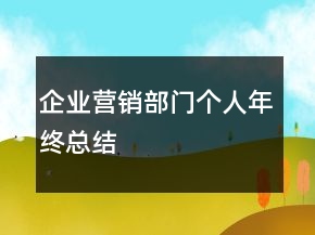 企業(yè)營(yíng)銷部門個(gè)人年終總結(jié)