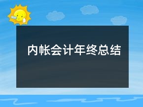 內(nèi)帳會(huì)計(jì)年終總結(jié)