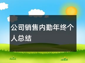 公司銷售內(nèi)勤年終個(gè)人總結(jié)
