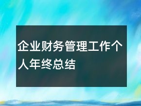 企業(yè)財務(wù)管理工作個人年終總結(jié)