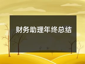 財務(wù)助理年終總結(jié)