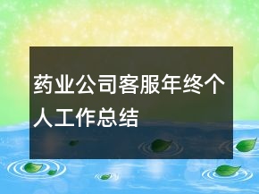 藥業(yè)公司客服年終個人工作總結(jié)