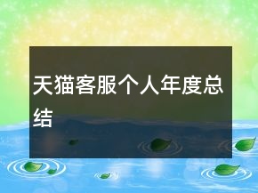 天貓客服個人年度總結(jié)