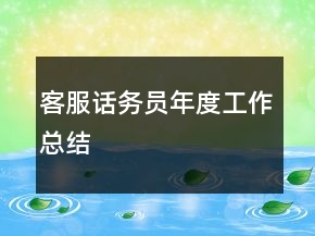 客服話務(wù)員年度工作總結(jié)