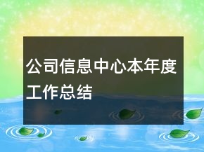 公司信息中心本年度工作總結(jié)