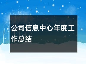 公司信息中心年度工作總結(jié)