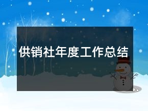 供銷(xiāo)社年度工作總結(jié)