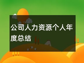 公司人力資源個人年度總結(jié)