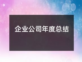 企業(yè)公司年度總結(jié)