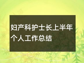 婦產(chǎn)科護(hù)士長上半年個(gè)人工作總結(jié)