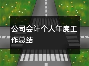 公司會計個人年度工作總結