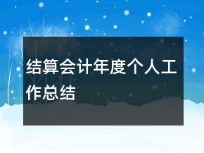 結(jié)算會計年度個人工作總結(jié)