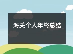 海關(guān)個人年終總結(jié)
