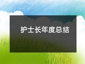 護士長年度總結