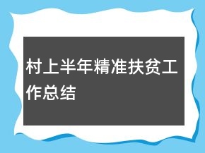 村上半年精準(zhǔn)扶貧工作總結(jié)