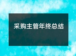 采購主管年終總結