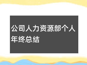 公司人力資源部個人年終總結(jié)
