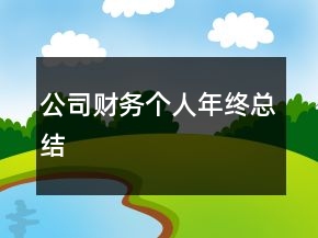 公司財(cái)務(wù)個(gè)人年終總結(jié)