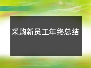 采購新員工年終總結(jié)