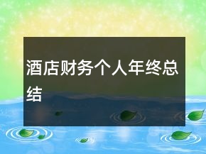 酒店財(cái)務(wù)個(gè)人年終總結(jié)
