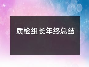 質(zhì)檢組長年終總結(jié)