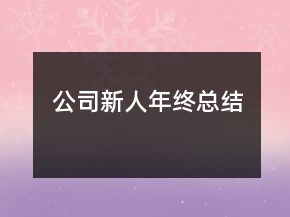 公司新人年終總結(jié)