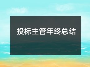投標(biāo)主管年終總結(jié)
